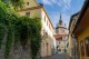 Locatie istorica Sighisoara