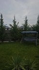 Forest Residence Hemeiusi - curte si gradina