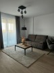 Living luminos cu acces la balcon