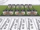 Condominium 2 — casa single disponibilă