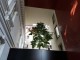 Parisian Views Residence — detaliu arhitectural exterior