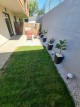 Grădina privată amenajată — apartament parter