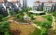Brasov Garden